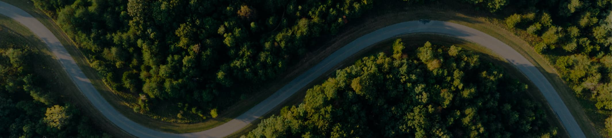 Strategic co-publishing banner